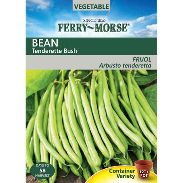 Ferry-Morse Bean Tenderette Bush Seeds