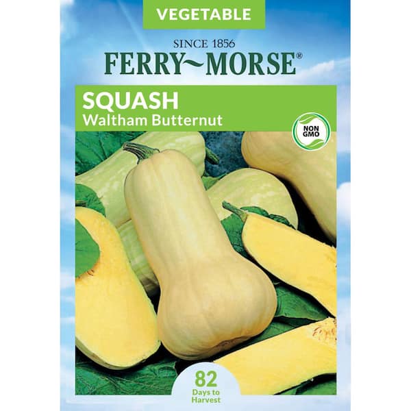 Ferry-Morse Squash Waltham Butternut Fruit Seed