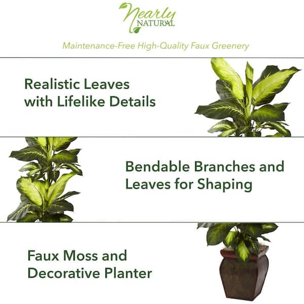 spathiphyllum peace lily plant Peace Lily Houseplant - Medium (15"-19" tall) Bubblegum Planter