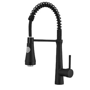 Modern Single Handle Pull Down Sprayer Kitchen Faucet with Dual Function Sprayhead and LED Light in Matte Black