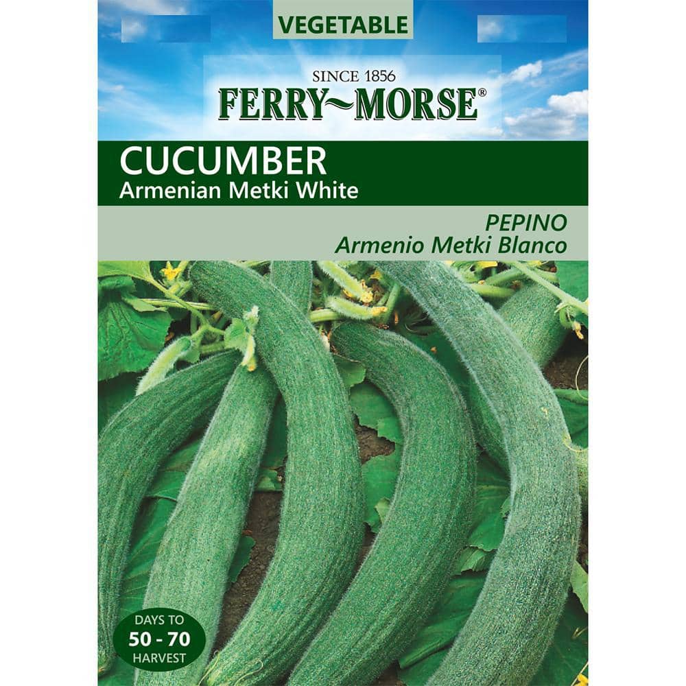 Vegetable Seeds 50 Pcs Cucumber Armenia Vegetable