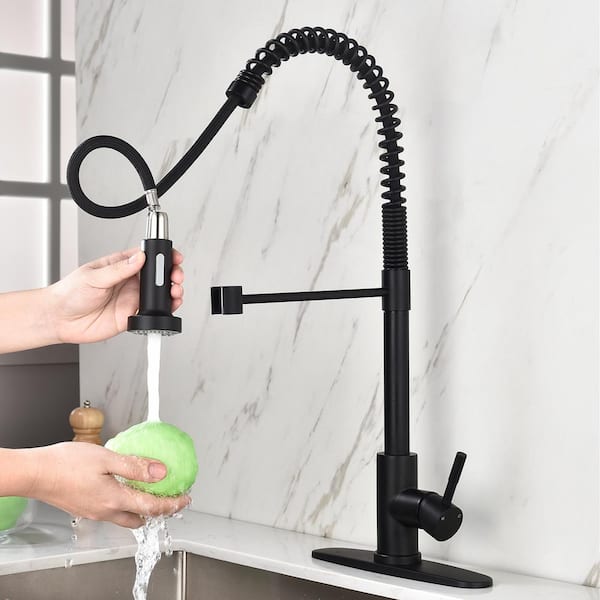 Single-Handle Pull Out Sprayer Stainless Steel Kitchen Faucet in Matte Black