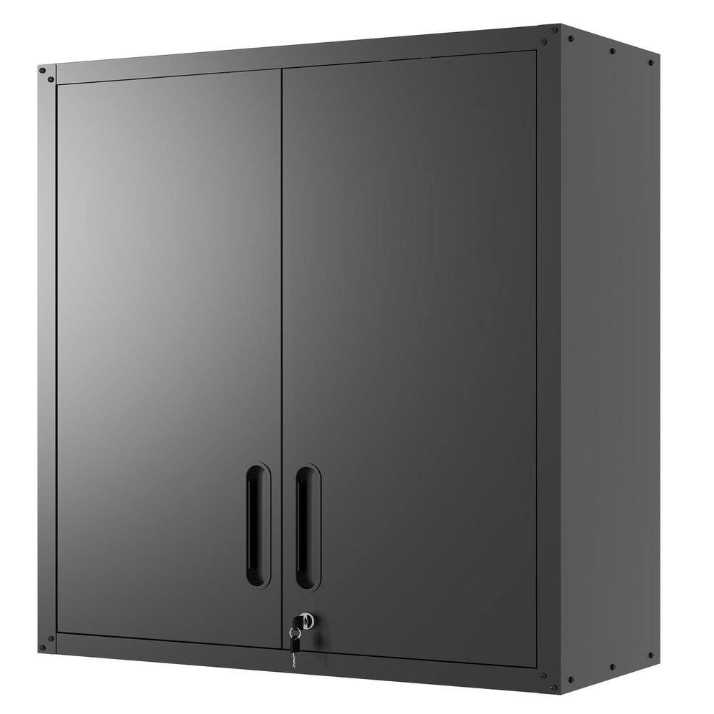 29.5 in. W x 11.8 in. D x 30.3 in. H Assembled Flex Wall Cabinet in Black with Adiustable Shelves, 2 Locking Door price history on PriceWatchPro
