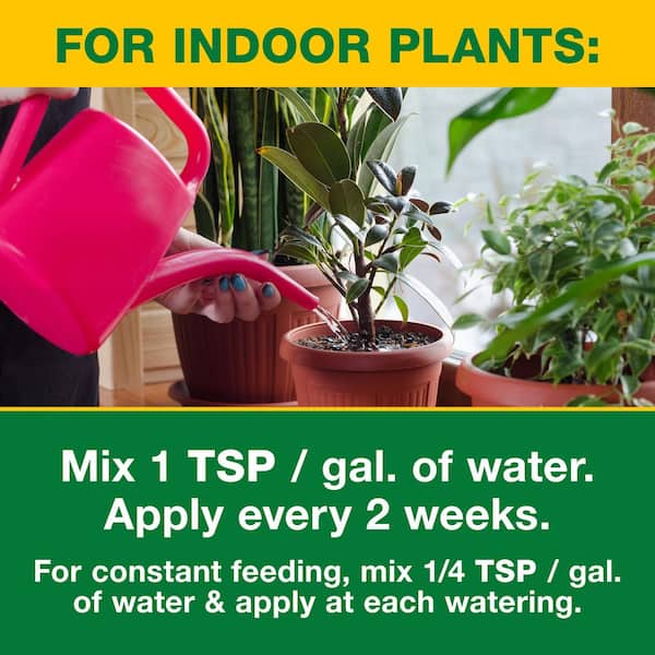 Vigoro 1.5 lbs. All Purpose Water Soluble Plant Food 100552647 - The Home  Depot