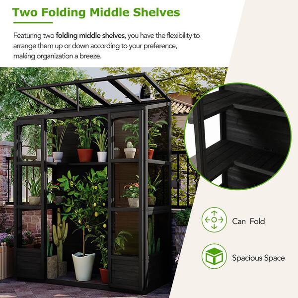 Unbranded - 57.9 in. W x 29.1 in. D x 78.1 in. H Black Wood Greenhouse with 4-Independent Skylights and 2-Folding Middle Shelves