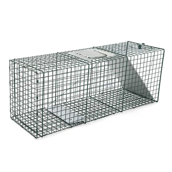  Duke Traps Heavy Duty Large Cage Trap : Rodent Traps : Patio,  Lawn & Garden