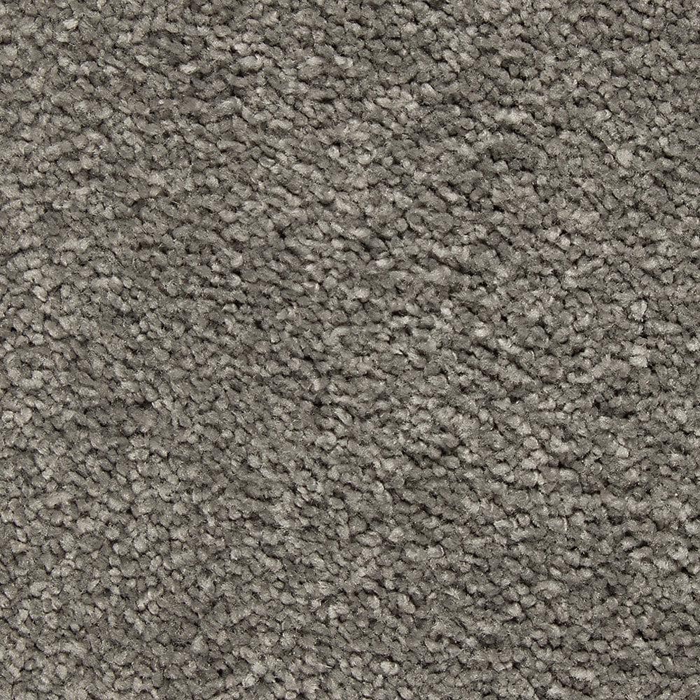 8 in. x 8 in. Texture Carpet Sample - Castle II -Color Shark Fin price history on PriceWatchPro