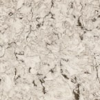 3 in. x 3 in. Quartz Countertop Sample in Axbridge