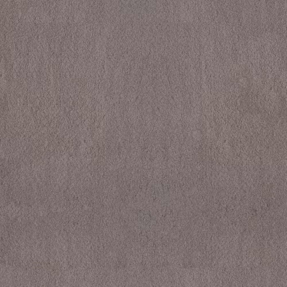 8 in. x 8 in. Texture Carpet Sample-Dreamy Daze I-Color Storm Cloud price history on PriceWatchPro