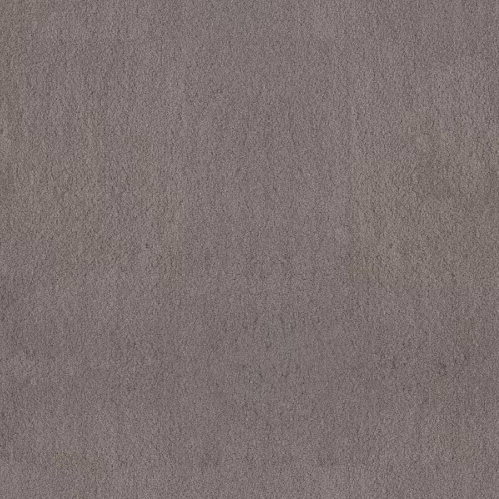 8 in. x 8 in. Texture Carpet Sample-Dreamy Daze II-Color Storm Cloud price history on PriceWatchPro