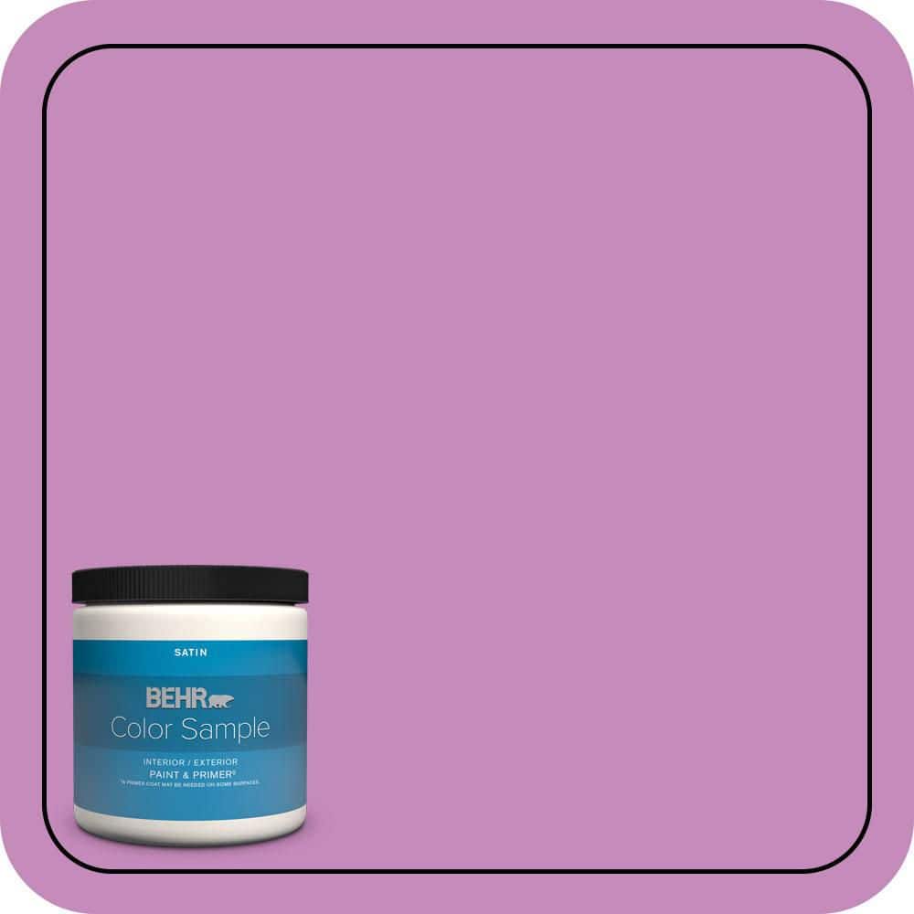 8 oz. #P110-4 Rock Star Pink Satin Enamel Interior/Exterior Paint & Primer Color Sample price history on PriceWatchPro