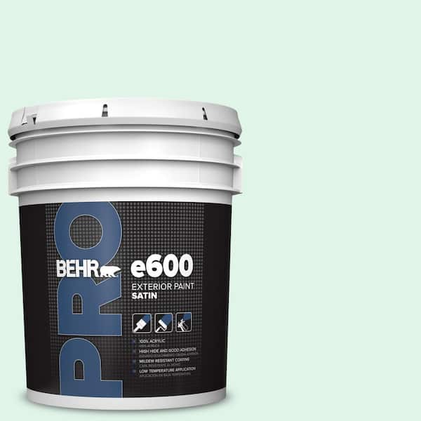 5 gal. #470A-1 Window Pane Satin Exterior Paint