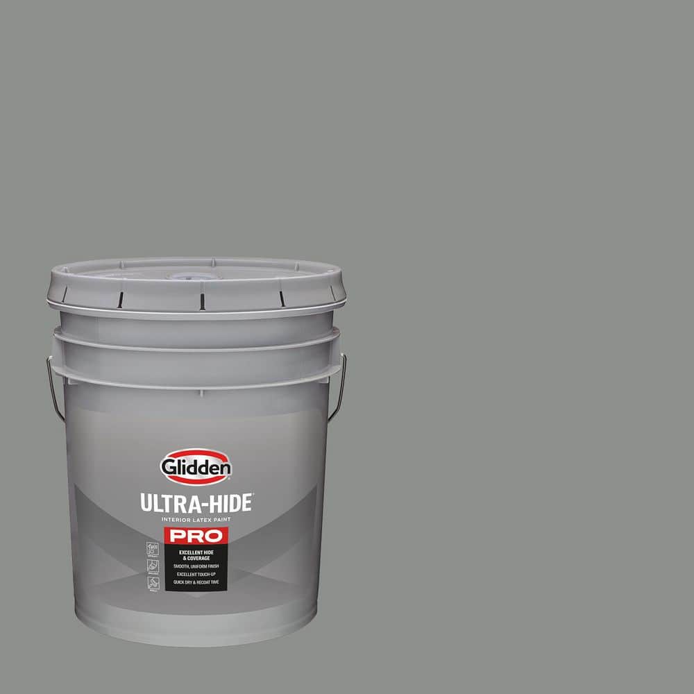 1 gal. PPG1009-5 Phoenix Fossil Eggshell Interior Paint price history on PriceWatchPro