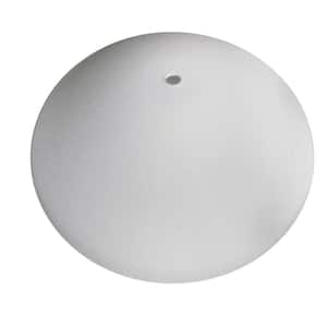 Replacement Matte Opal Glass Bowl for 52 in. North Lake Fan