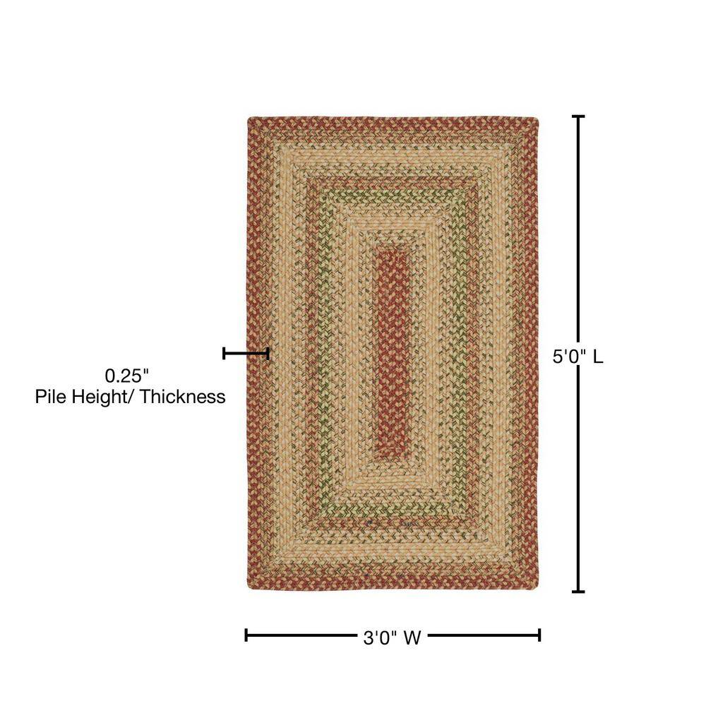 Rust and Multi Braided Reversible Synthetic Area Rug 3' x 5'