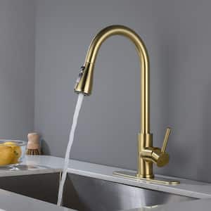 Carol Single-Handle Pull-Out Sprayer Kitchen Faucet with Dual Function Sprayhead in Brushed Gold