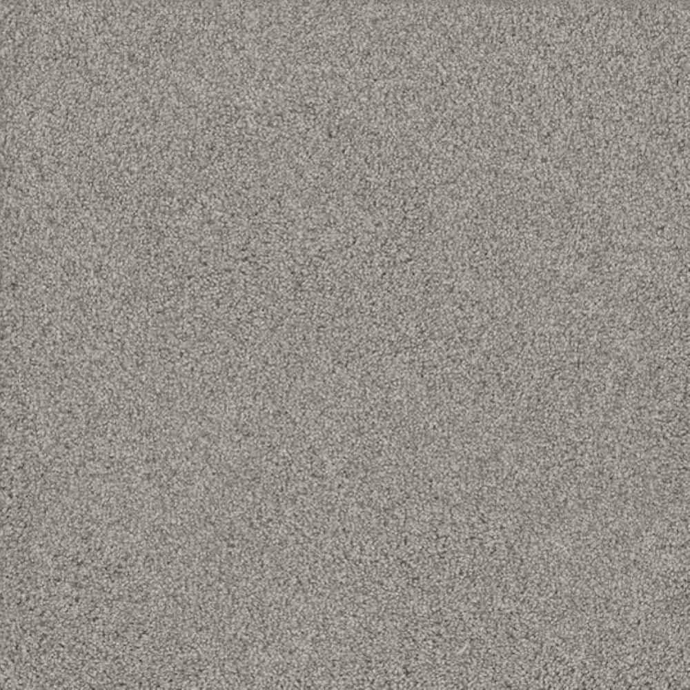 8 in. x 8 in. Texture Carpet Sample-Meringue II-Color Delicate price history on PriceWatchPro