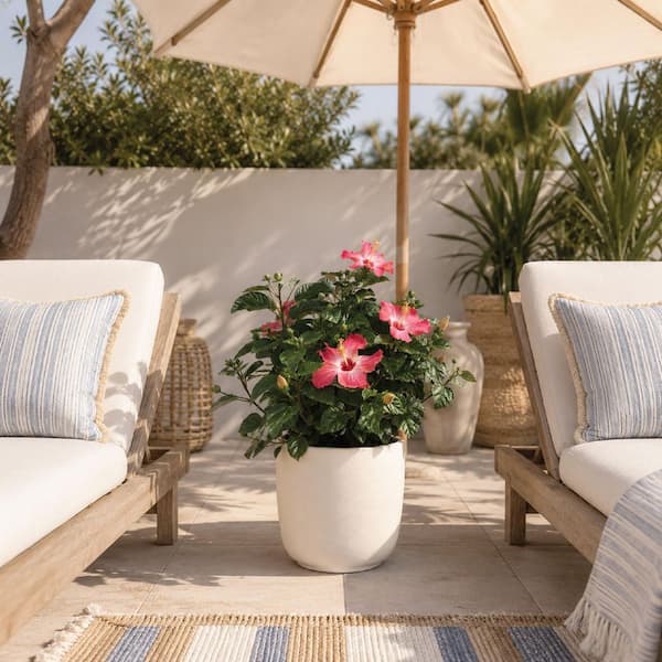 hibiscus patio umbrella LUVUP Beach and Grass with Matching Travel Carrying Bag - Large 7 Feet 5 Inches Tilting Telescopic Aluminum Pole - Twist Sand/Grass Anchor - Wind Air Vent Features a heat dye sublimation print with uncompromising quality and outstanding color vibrancy Umbrella Beach Hibiscus Green Blue