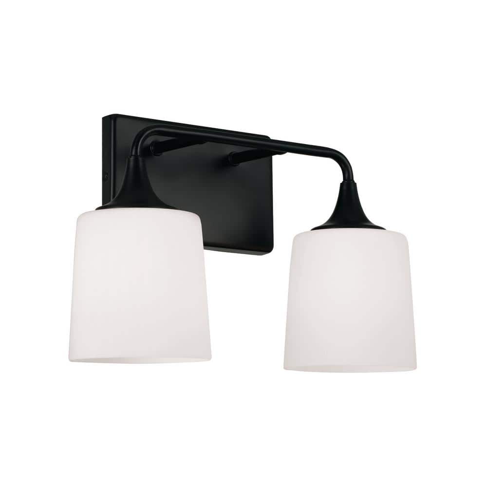 16 in. W x 10.25 in. H 2-Light Vanity Light in Matte Black with Soft White Glass price history on PriceWatchPro