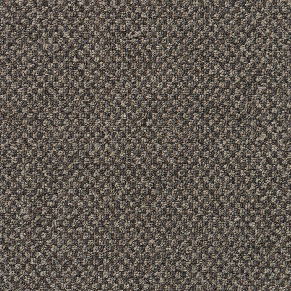 8 in. x 8 in. Pattern Carpet Sample - Colwick -Color Manatee price history on PriceWatchPro