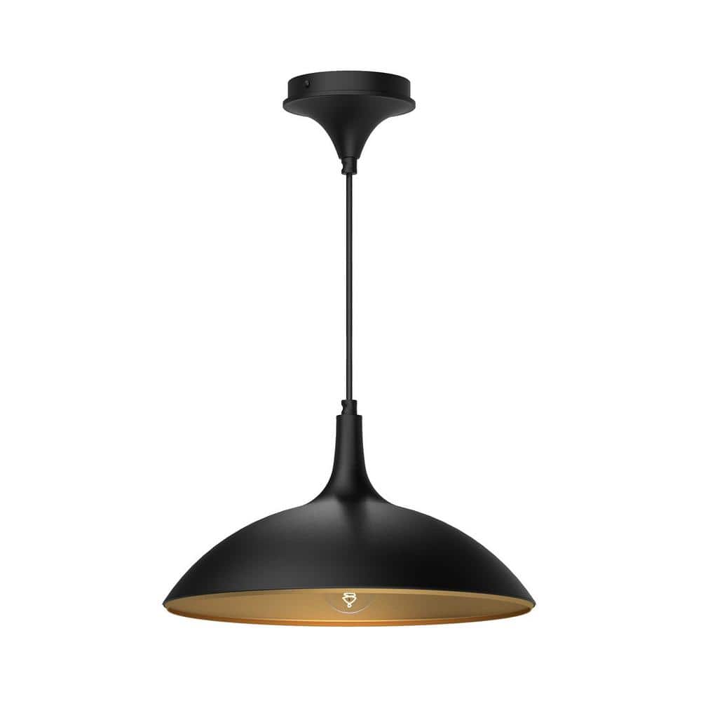 Matte Black Aluminum Bowl Pendant Light, 14.25"