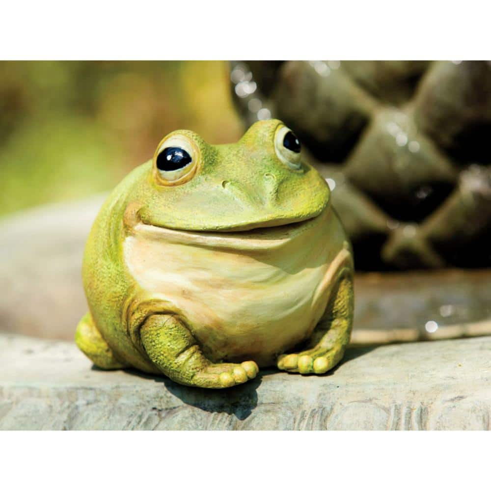 UPC 746851531408 product image for Medium Portly, Frog | upcitemdb.com