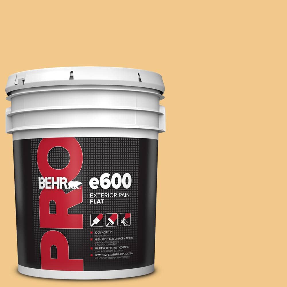 5 gal. #HDC-CL-16 Beacon Yellow Flat Exterior Paint price history on PriceWatchPro