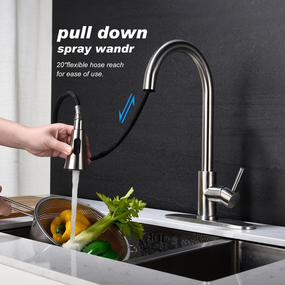 Stainless Steel Single Handle Pull-Out Spray Kitchen Faucet
