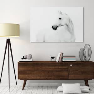 48 in. x 32 in. "Blanco Stallion Horse" Frameless Free Floating Tempered Glass Panel Graphic Art Wall Art
