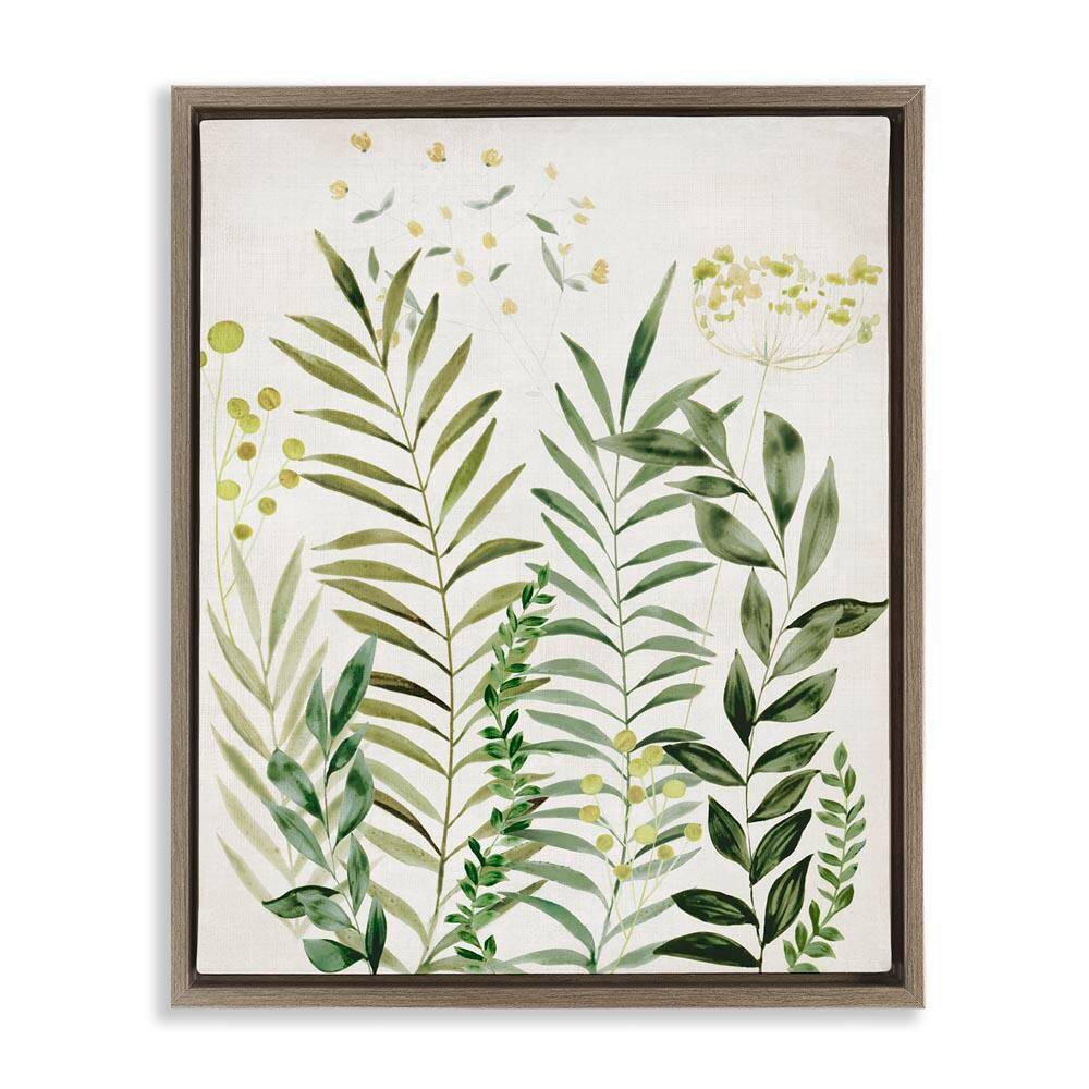 Delicate Herbs and Leaves by Hannah Dawson Brown Floater Frame Nature Graphic Art Print 21 in. x 17 in. price history on PriceWatchPro