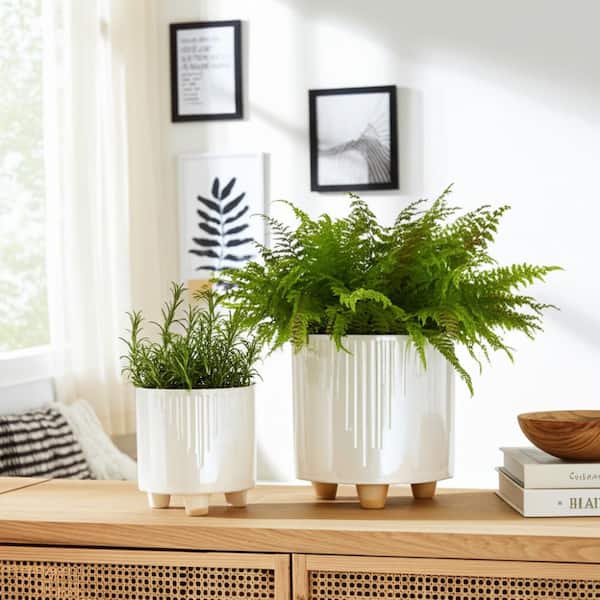 Liv & Skye 6 in. and 8 in. Ivory Ceramic Iridescent Line Footed