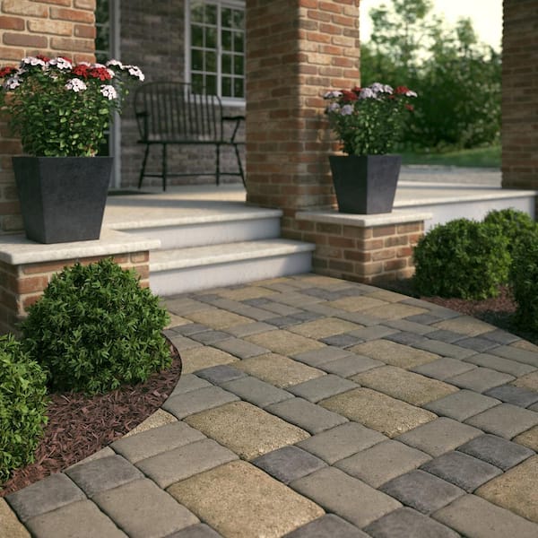 pavers around tree home depot