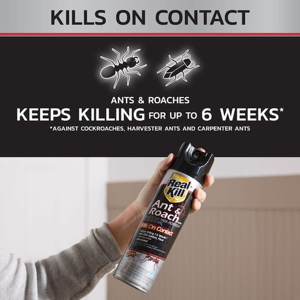 Real-Kill 17.5 oz. Indoor Ant and Roach Insect Killer Aerosol