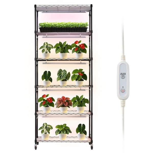 Plant Shelf with Grow Light, 6-Tier Indoor Plant Stand, 71in. Tall Plants Display Rack, Full Spectrum Grow Lights
