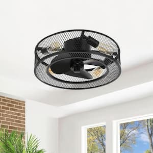 18 in. Indoor Black Caged Ceiling Fan with Light Kit and Remote Control