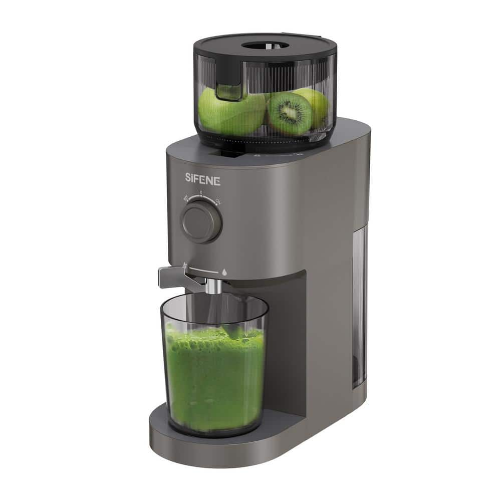 Cold Press Juicer, Slow Masticating Machines,Easy Clean Self Feeding Effortless for Quick Juicing, High Juice Yield,Gray