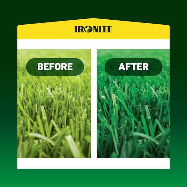 Image of Before-and-after photo of lawn fertilized with Ironite