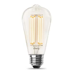 60-Watt Equivalent ST19 Dimmable Cage Filament Clear Glass E26 Vintage Edison LED Light Bulb, Warm White