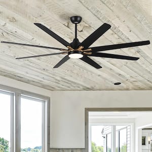 72 in. Indoor Plywood 120-Volt 110 RPM Modern Black Gold Ceiling Fan with Integrated LED, 8 Plywood Blades
