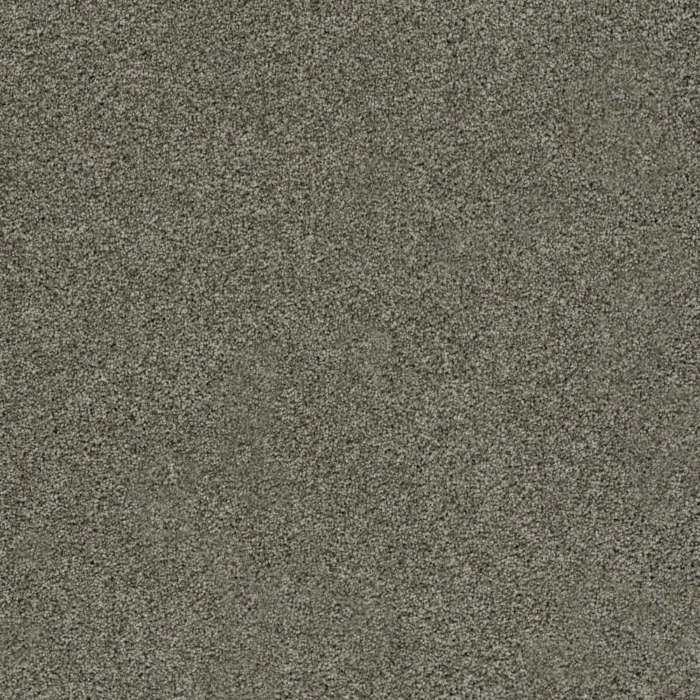 8 in. x 8 in. Texture Carpet Sample-Cinderella Soft II-Color Comfy price history on PriceWatchPro