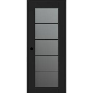 Vana 28 in. x 96 in. Right-Handed 5-Lite Frosted Glass Black Matte Composite DIY-Friendly Single Prehung Interior Door