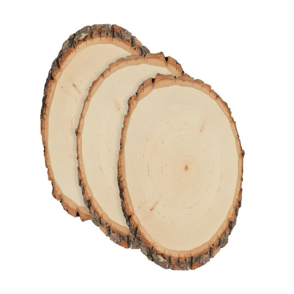 Walnut Hollow 1 in. x 6 in. x 6 in. Basswood Small Round Live Edge Project Panel (3-pack)