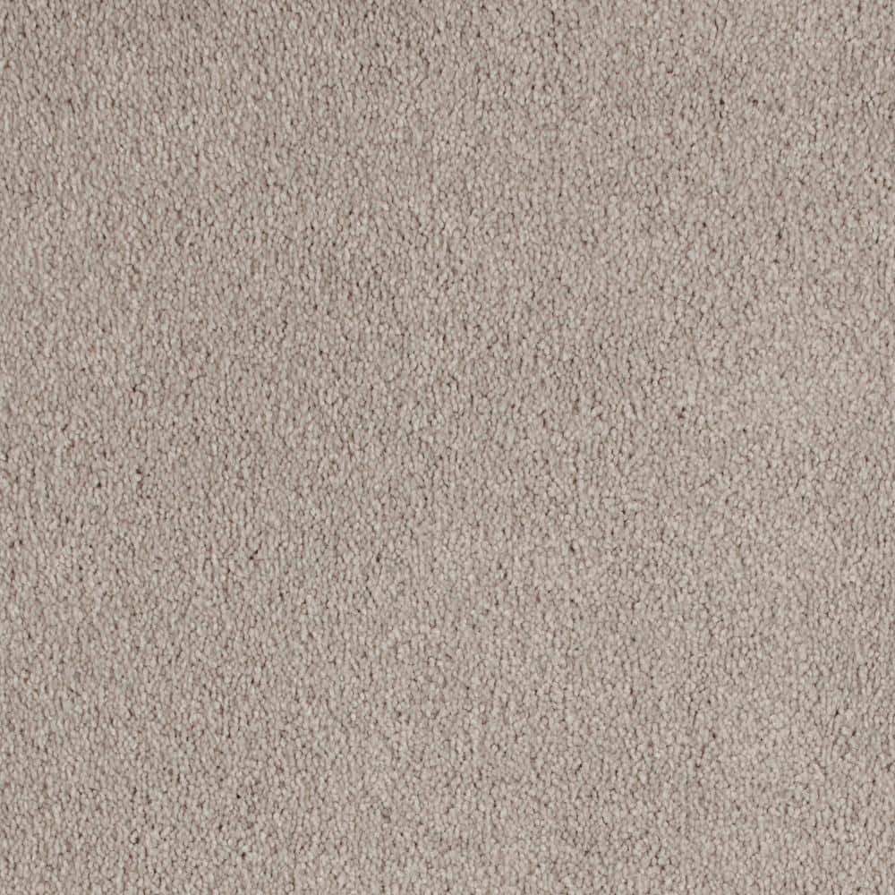 8 in. x 8 in. Texture Carpet Sample - Still In Love I -Color Young Love price history on PriceWatchPro