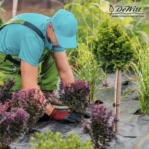 DeWitt P4 Pro 5 Commercial Landscape 5-Oz Weed Barrier Fabric, 4 X 250 8 Pack
