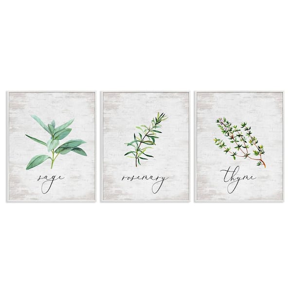Stupell Industries Charming Summer Kitchen Herbs by Lettered and Lined 3-Pieces White Framed Typography Giclee Art Print 20 in. x 16 in.