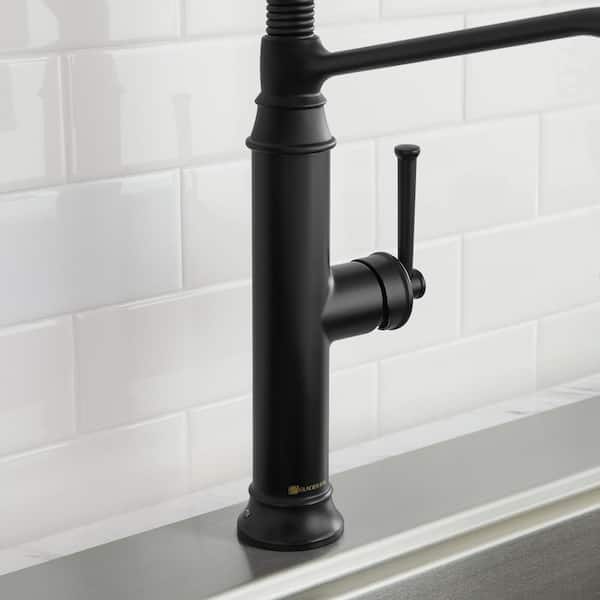 Sprayer Kitchen Faucet In Matte Black
