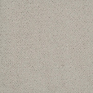 Camelia Lane - Queen - Beige 28 oz. SD Polyester Loop Installed Carpet