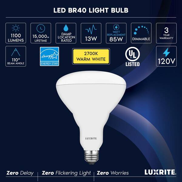 Life-Bulb 120V 40W RGB [Switch or Remote Control] LED Pool Light