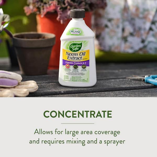 Garden Safe 10 oz. Neem Oil Extract Concentrate Insect Killer HG-93231