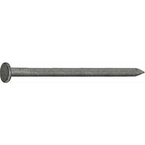 8D (2-1/2 in.) Hot Galvanized Common Nail 10 lbs. Tub